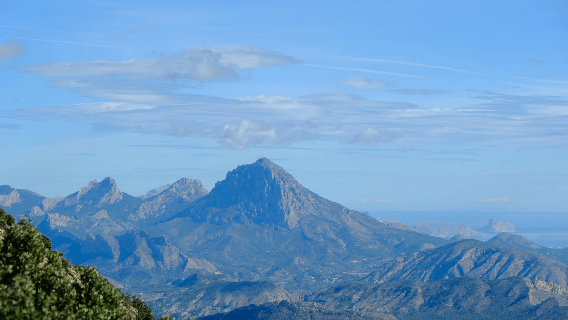 blog(9)